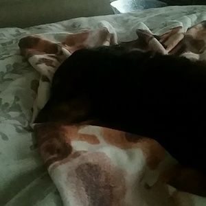 Meet your Posher, Jay